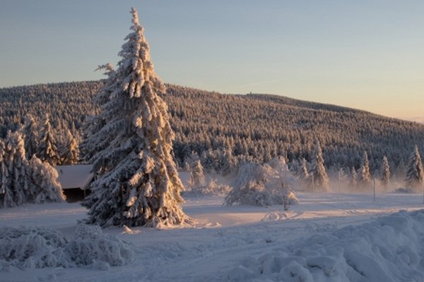 Orlické hory (© Zuzana Růžičková, CHKO Orlické hory)