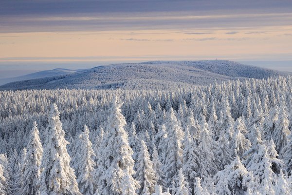 Hreben Orlických hor (© CHKO Orlické hory)